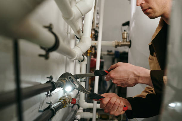 Best Clogged Drain Plumber  in Preston, MN