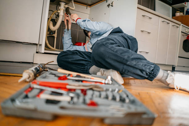 Best Plumbing Inspection Services  in Preston, MN