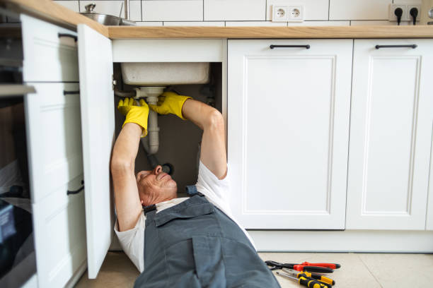 Best Local Plumber Services  in Preston, MN