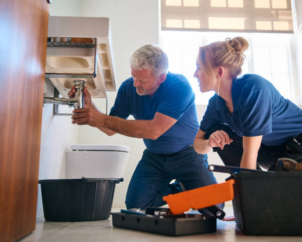Best Clogged Drain Plumber  in Preston, MN